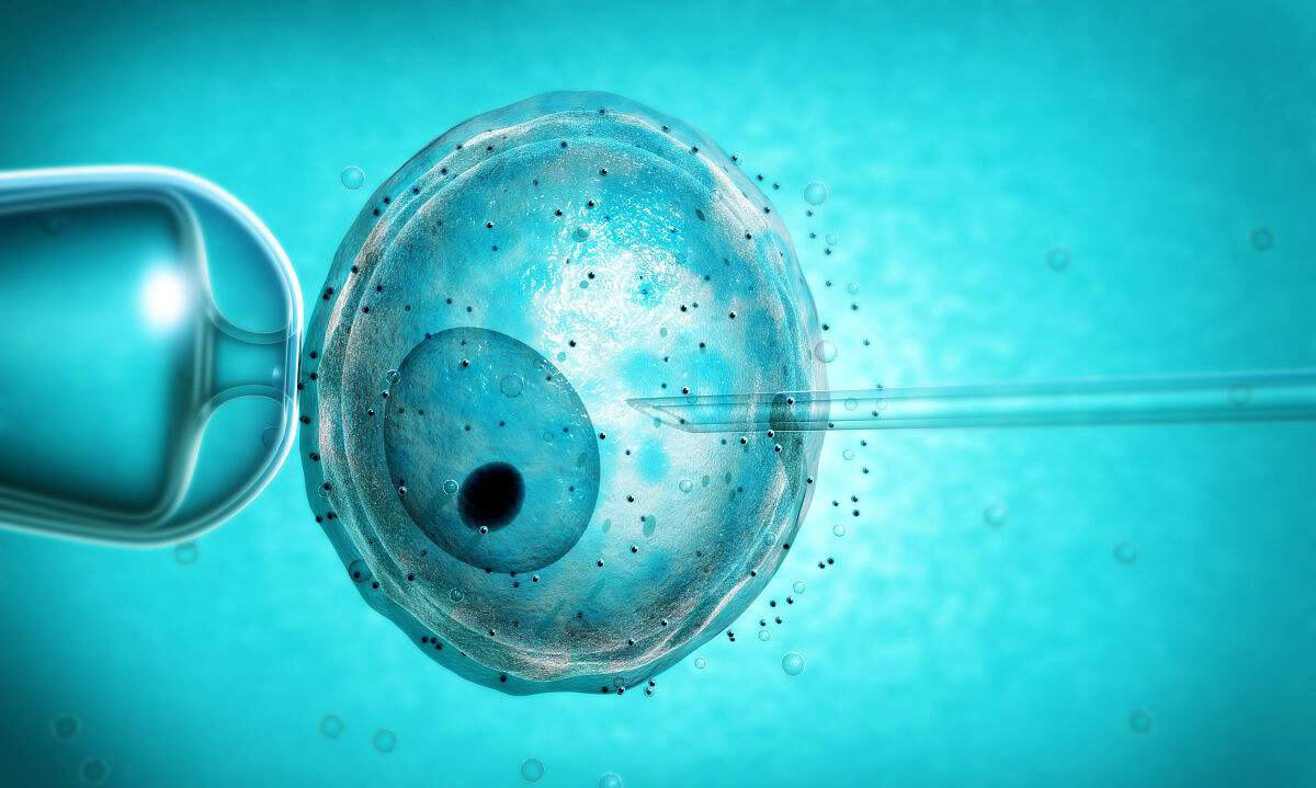 辅助生殖技术在江西的应用